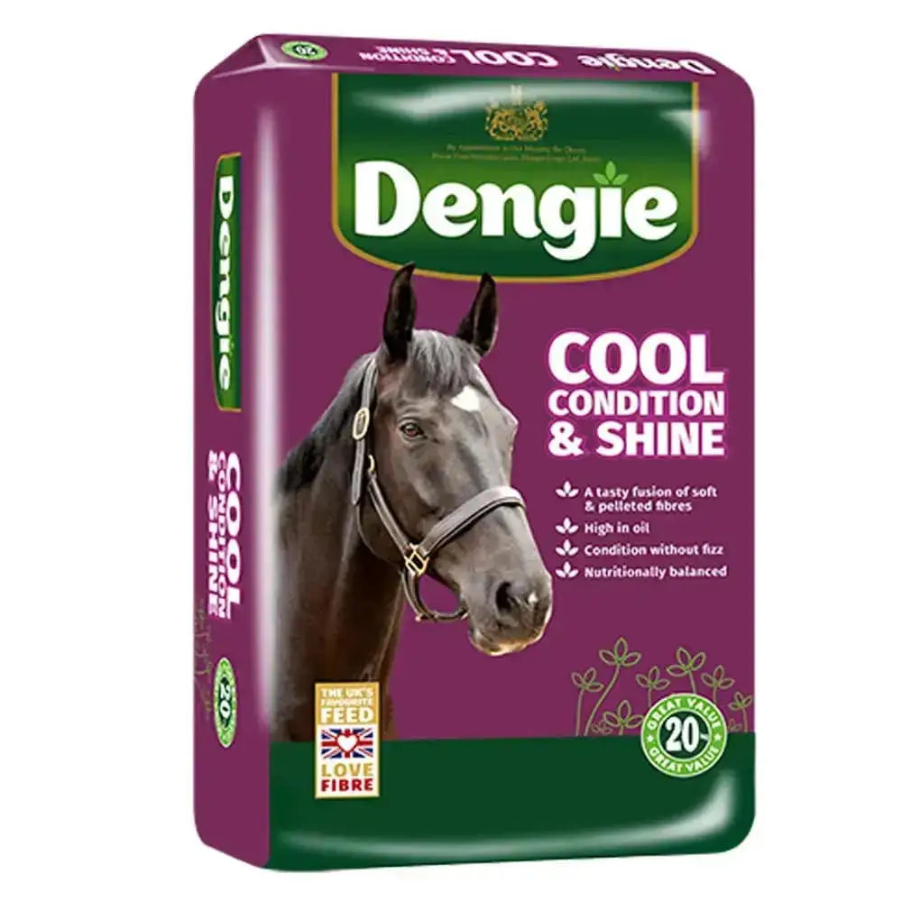 Dengie cool condition & shine horse feed in purple green pack featuring dark brown horse with bridle and soft chopped alfalfa pellets