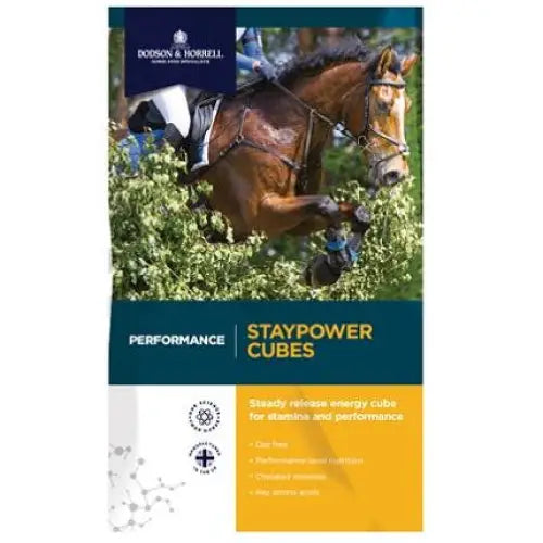 Dodson & Horrell Performance Staypower Cubes 20 kg Horse Feeds