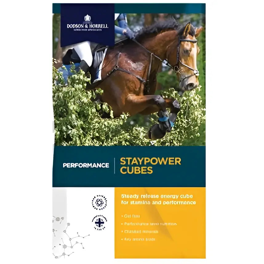 Brown horse with rider in equestrian gear using dodgeon horrell performance staypower cubes for stamina boost