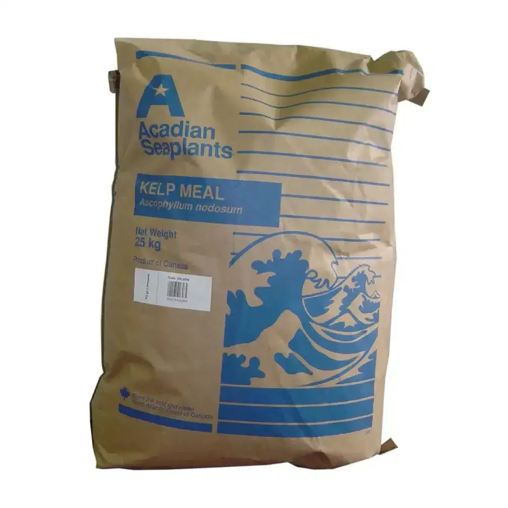 Brown paper bag of dodson & horrell seaweed kelp meal with blue branding as an all-round natural source all-natural product