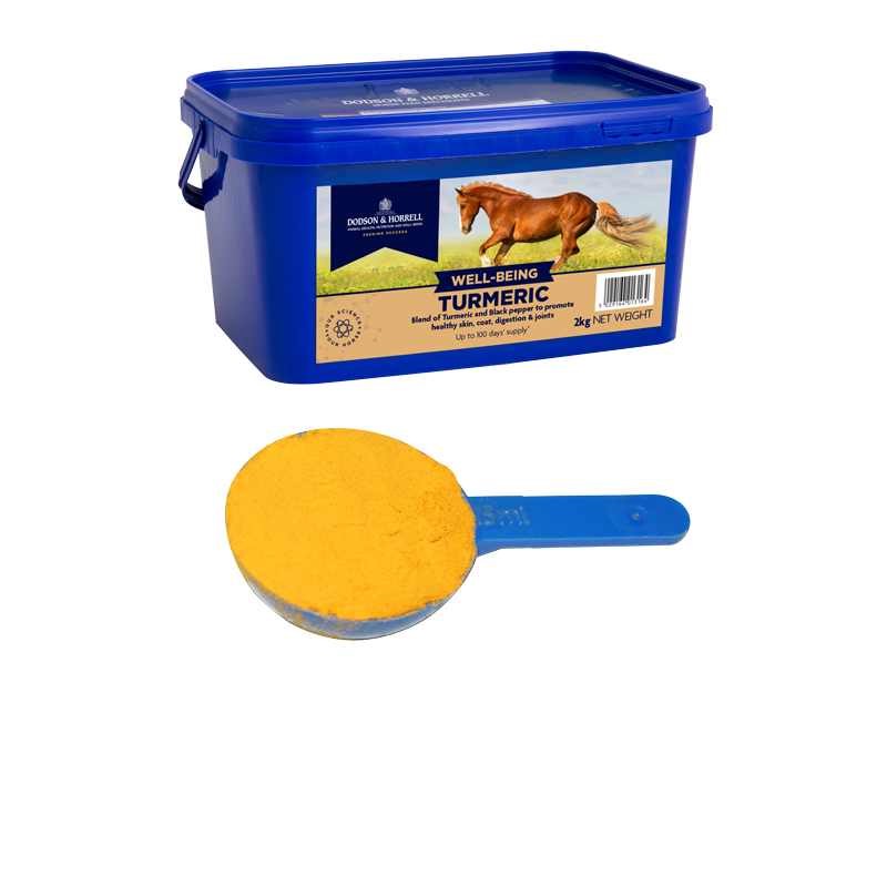 Dodson & Horrell Turmeric - Barnstaple Equestrian Supplies