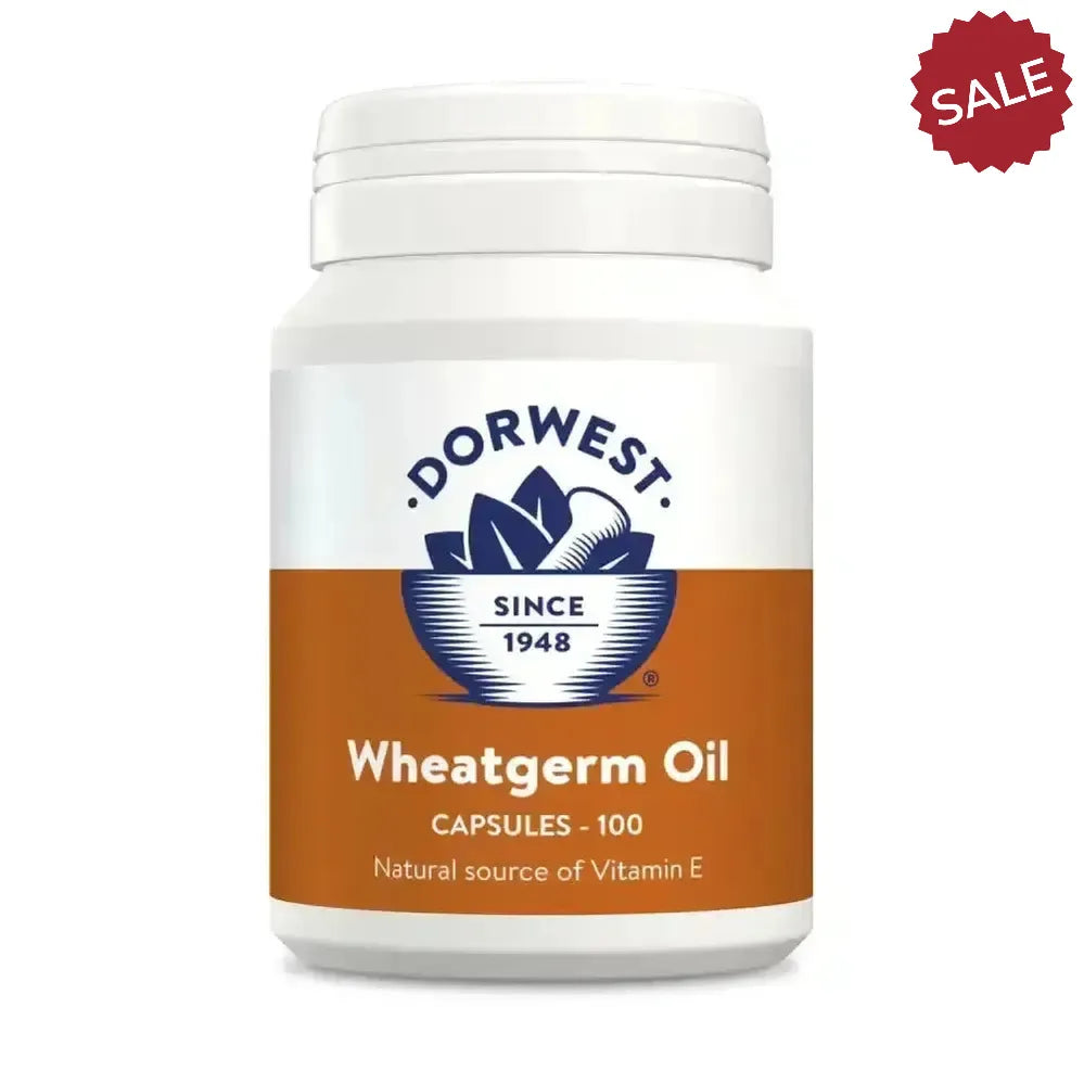 Dorwest Herbs Wheatgerm Oil For Dogs/Cats 100 Capsules Dog Supplements