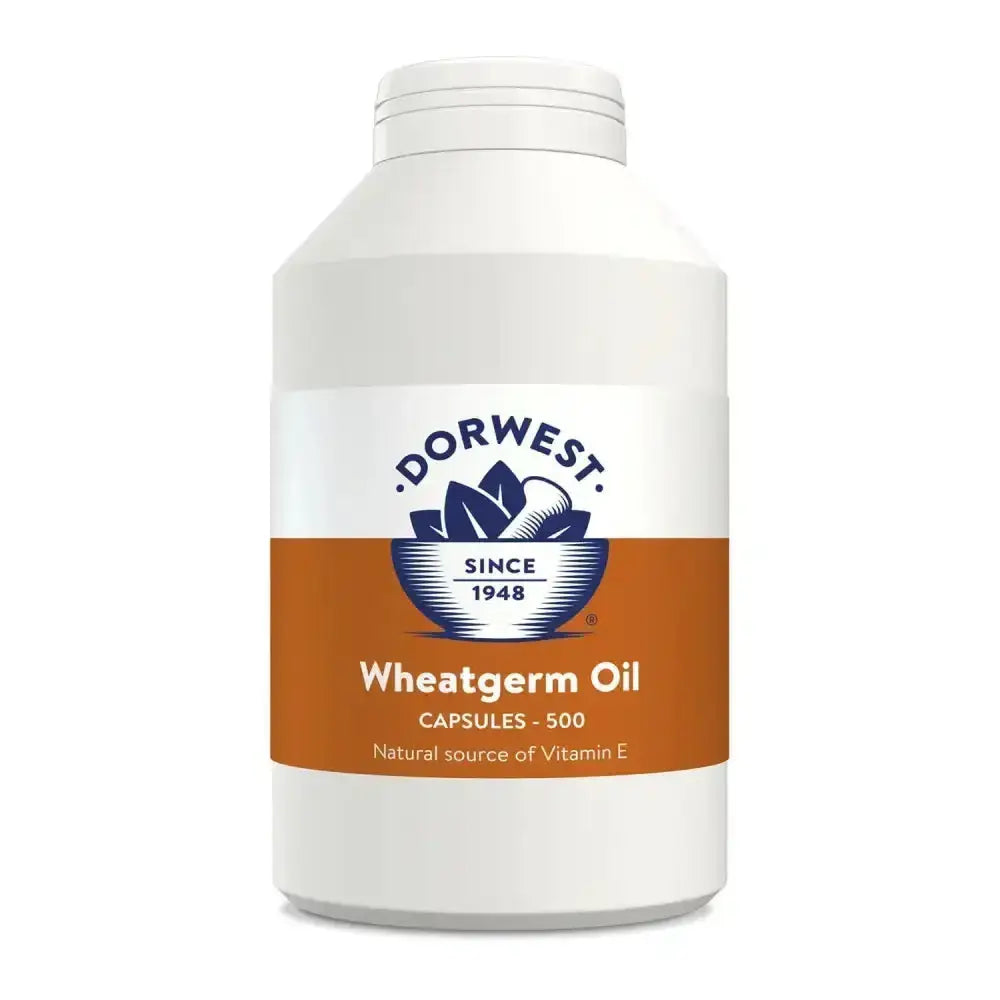 White plastic bottle of dorwest herbs wheatgerm oil capsules 500 count for dogs and cats supplement