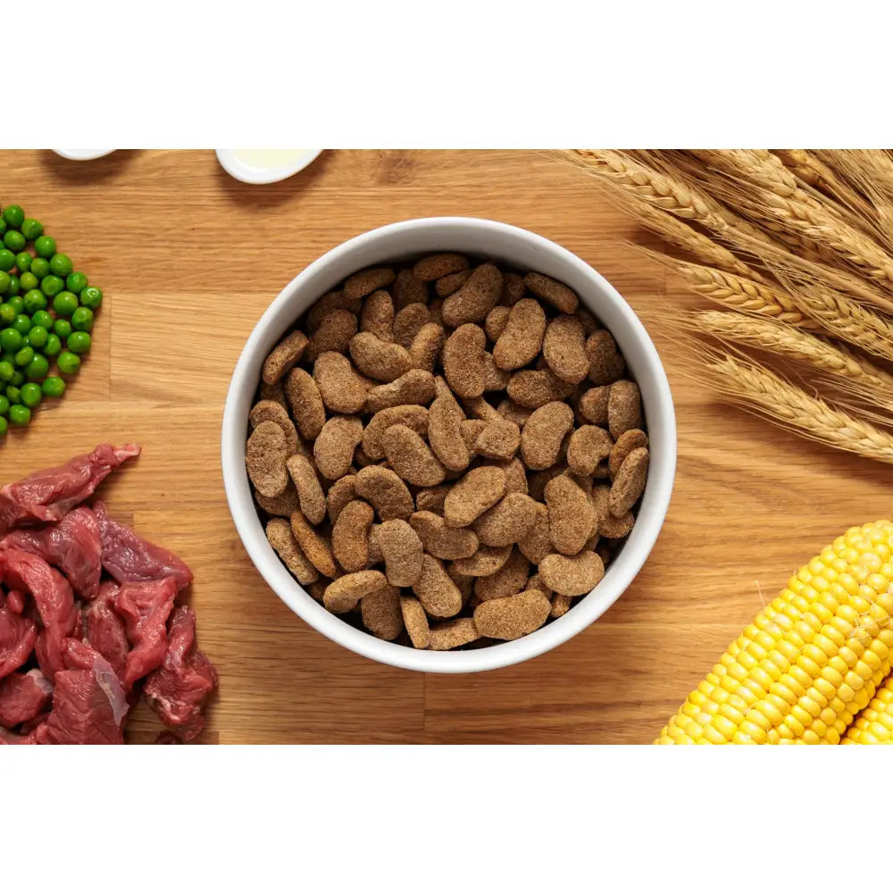 A white ceramic bowl filled with brown john silver beef dog kibble for silver beef dog food with vegetables
