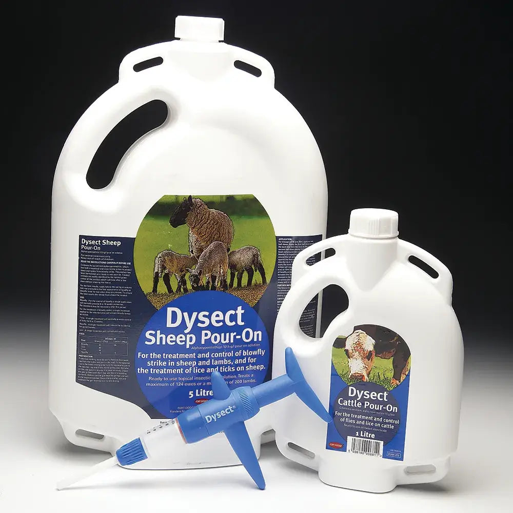 White plastic jugs of dysect sheep pour sheep pour on treatments with a blue applicator syringe in front