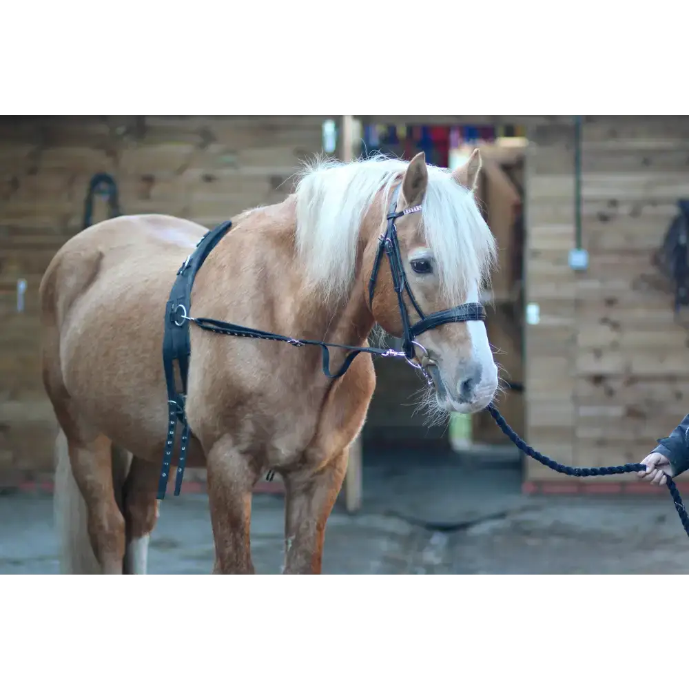 Elasticated Side Reins Mini