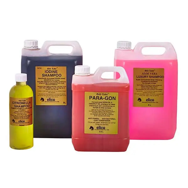 The image shows elico shampoo aloe bottles in dark blue pink red and yellow with white caps for deep cleansing and super concentrated use