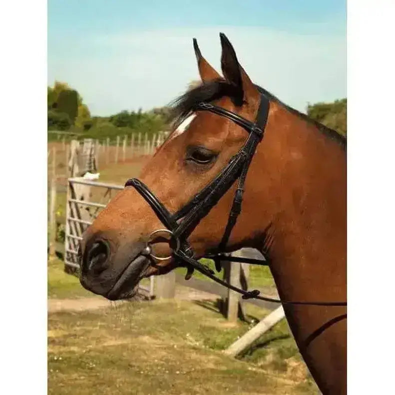 A sleek black english leather bridle with fancy stitched heritage noseband on a chestnut mare with pretty stitch detailing