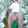 Equetech Cheeky Elf Festive Christmas Tail Tassel Green One size Tail Tassels