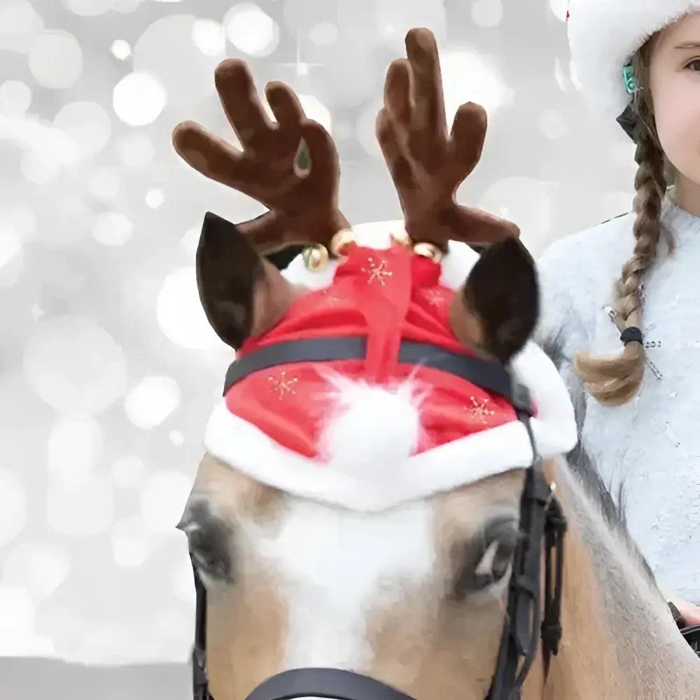 A horse wearing an equetech childs santa glitter snowflake hat horse bonnet with red santa hat and brown antlers