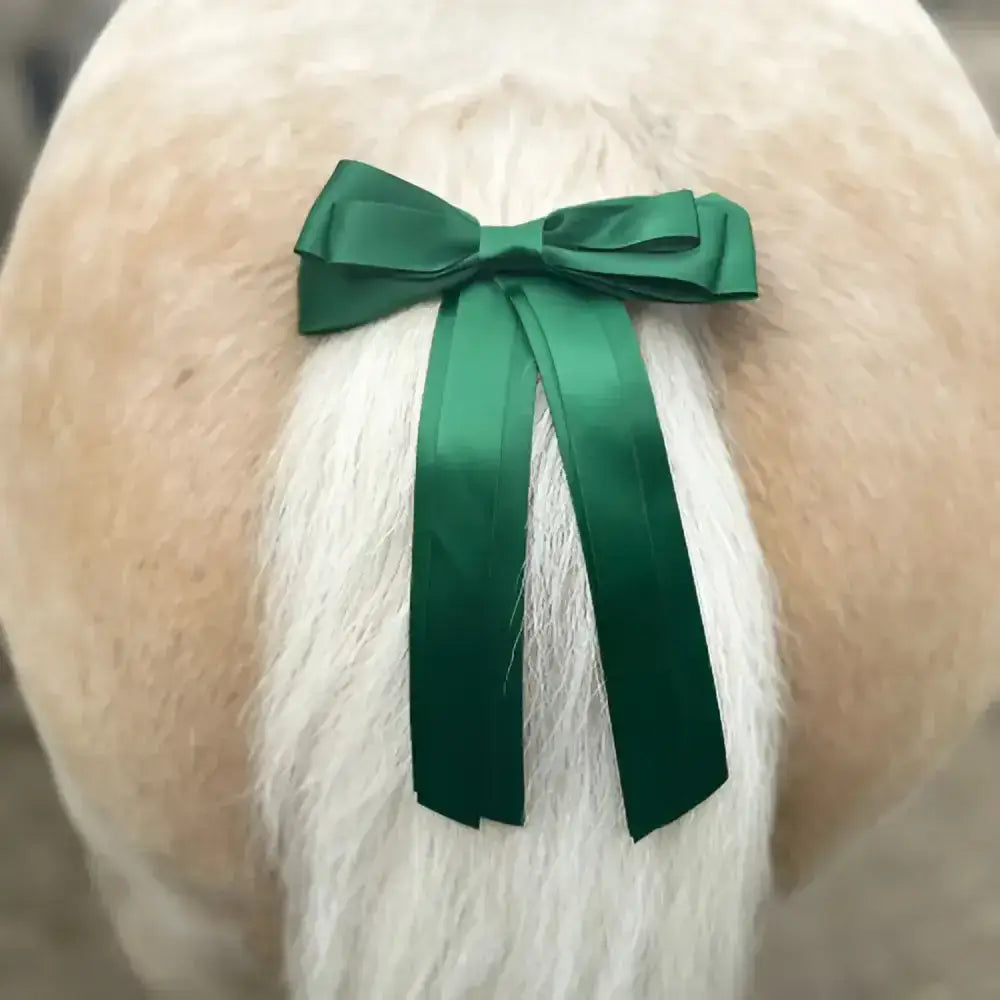 A vibrant emerald green satin equetech horse competition warning tail ribbon tied neatly on a fluffy white dog tail