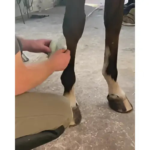 A person wrapping white textured equi-n-ice cooling bandages on a dark brown horse leg for icing applications