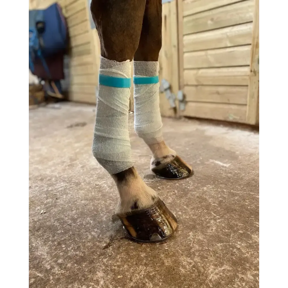 Equi-N-Ice Cooling Bandages Reusable Cooling Bandages