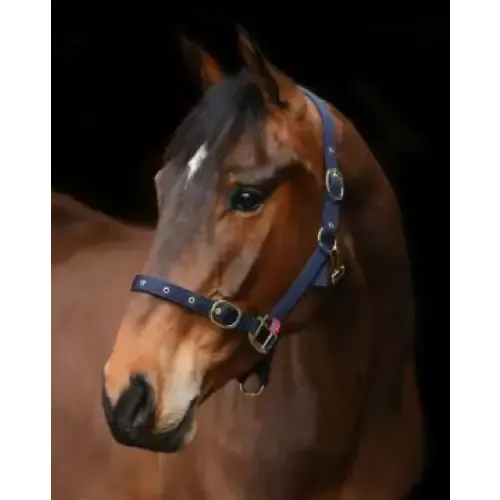Equi-Sential Nylon Clip Headcollar Black Pony Headcollars