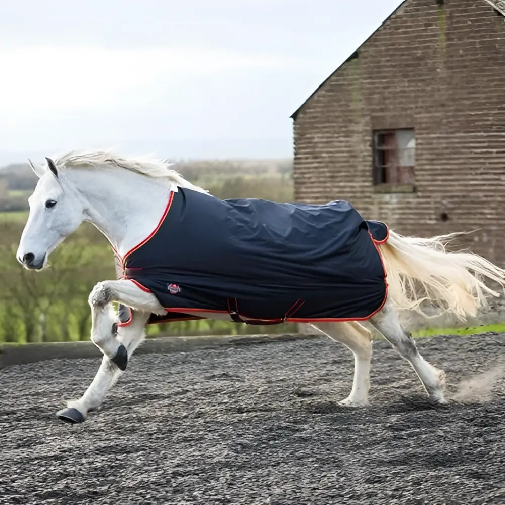A white horse in motion wearing a navy blue standard neck medium weight turnout rug 200g with red trim and logo