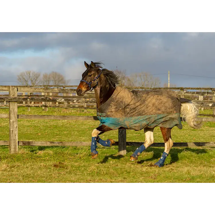 Equilibrium Equi-Chaps Hardy Chaps Large Blue Turnout Boots