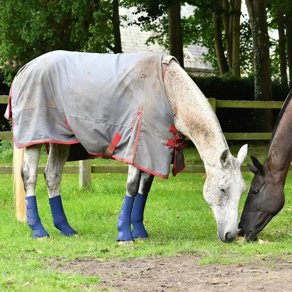 A white horse wearing a gray equi-chaps hardy chaps with red trim and straps providing tough turnout protection