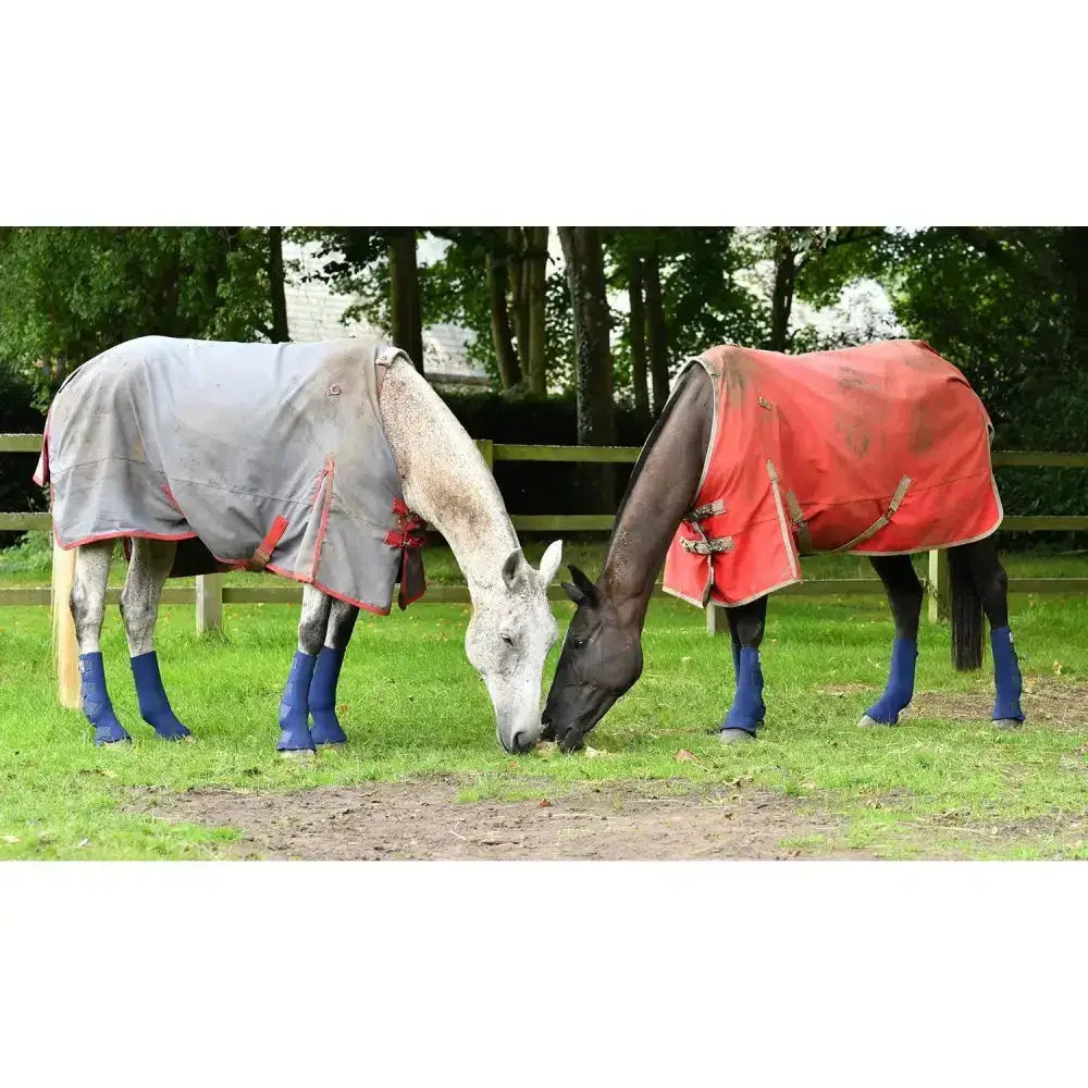 Two horses wearing equi-chaps hardy chaps in bright red and light gray with tough turnout protection on entire lower leg grazing