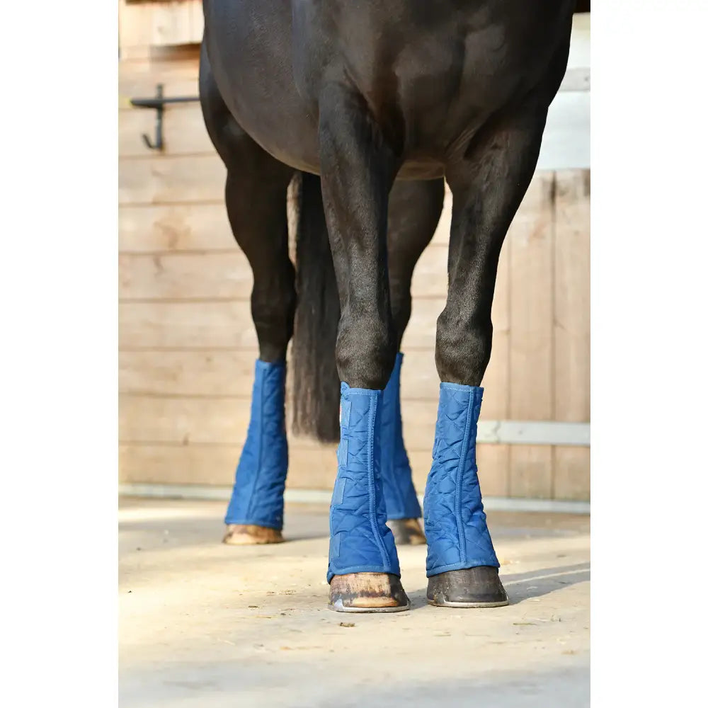 Blue quilted stable boots from equilibrium equi-chaps stable chaps designed for horse leg protection