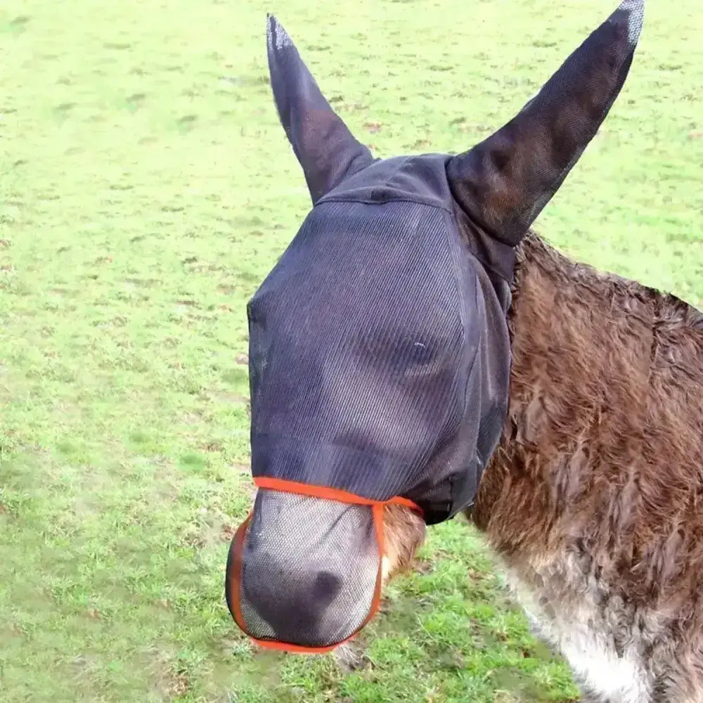 Black mesh equilibrium field relief maxi fly mask with orange trim worn by a donkey for insect protection