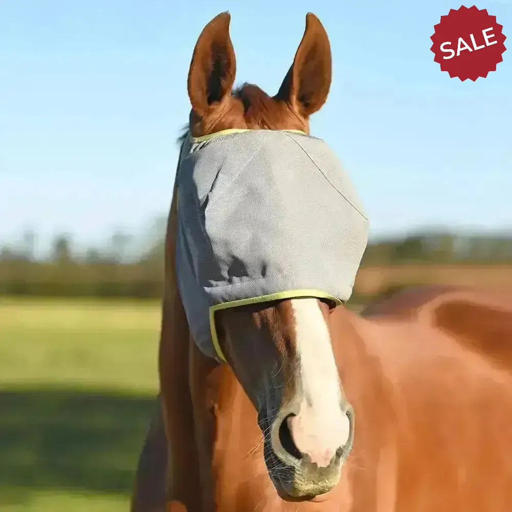 Equilibrium FIELD RELIEF Midi Fly Mask Without Ears XX Small Black / Orange Trim Fly Masks
