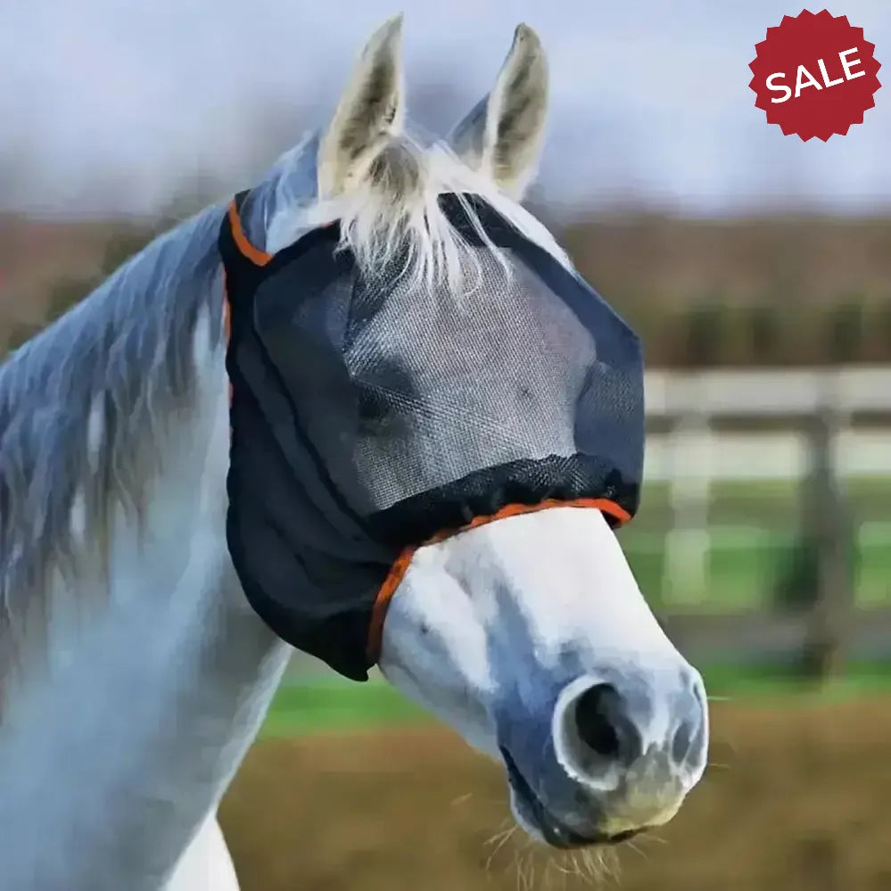Equilibrium FIELD RELIEF Midi Fly Mask Without Ears XX Small Black / Orange Trim Fly Masks