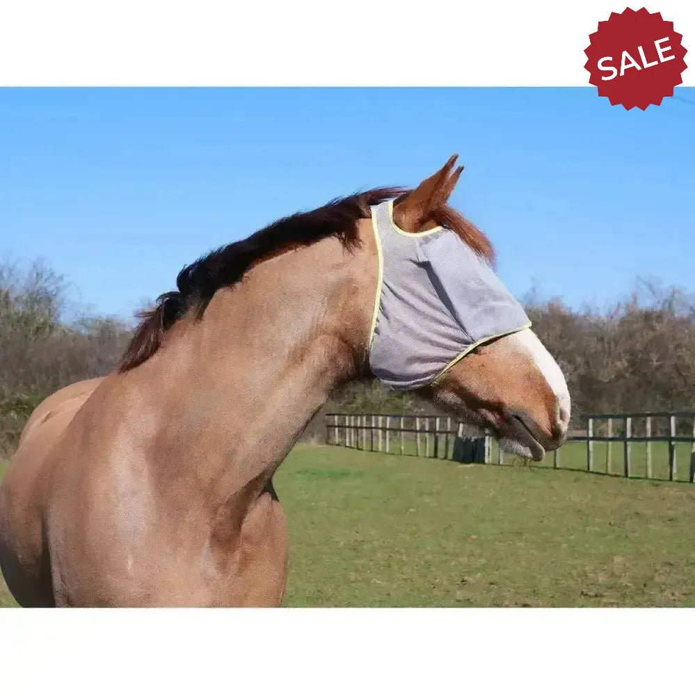 Equilibrium FIELD RELIEF Midi Fly Mask Without Ears XX Small Black / Orange Trim Fly Masks