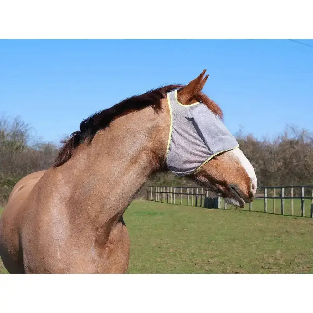 Gray mesh equilibrium field relief midi fly mask with yellow trim worn by horse for fly protection without ears