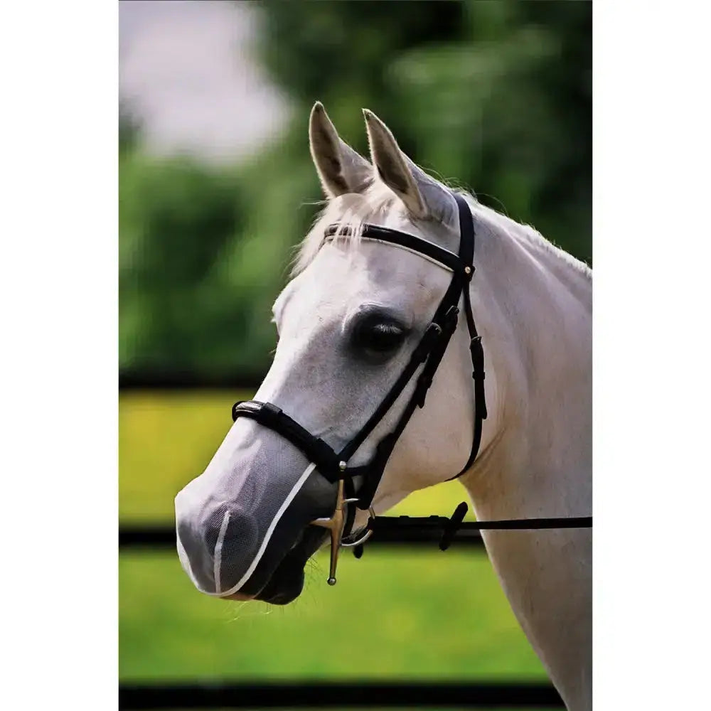 A white horse wearing a black mesh noseband net relief cavesson from equilibrium net relief for comfortable control