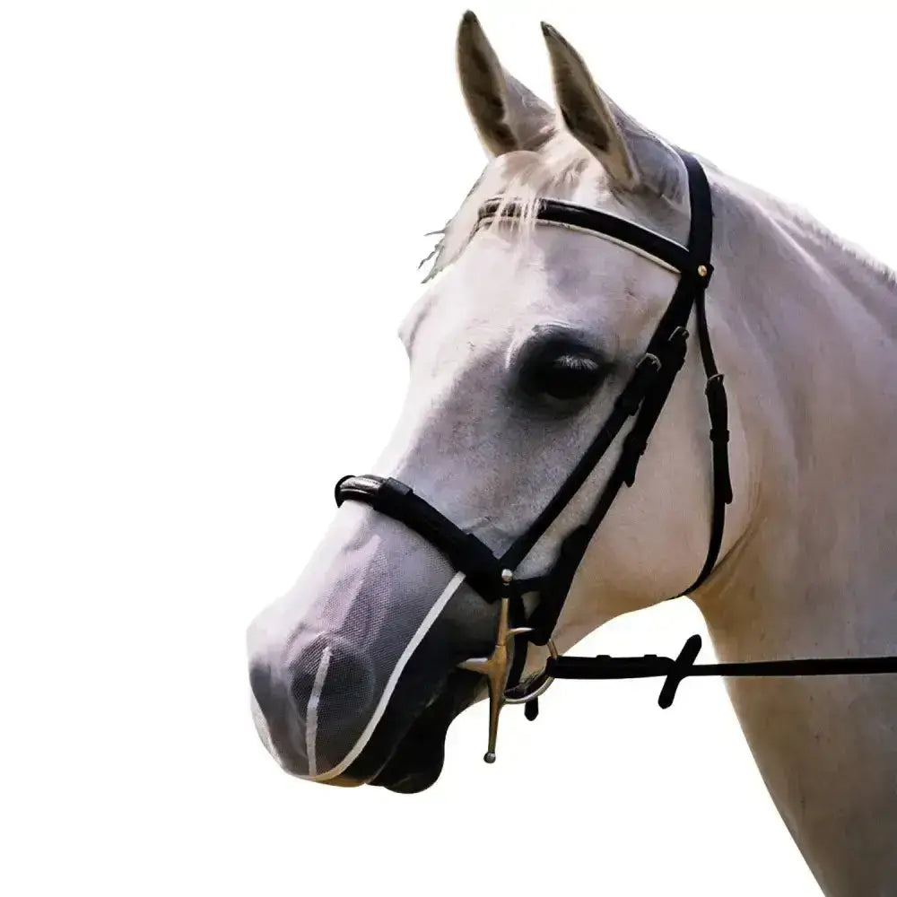 Black leather horse bridle with silver hardware and mesh face mask in equilibrium net relief muzzle fly net design