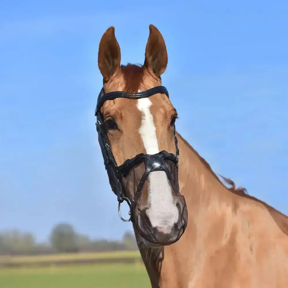 Brown horse wearing black leather bridle with equilibrium net relief muzzle net to fit grackle nosebands