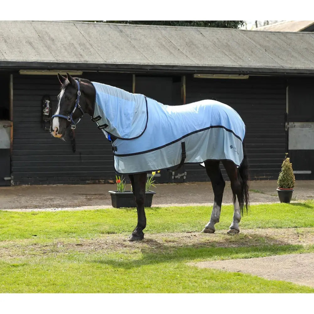 Light blue equilibrium quick chill cool rug detachable horse blanket with black trim and adjustable straps for comfort