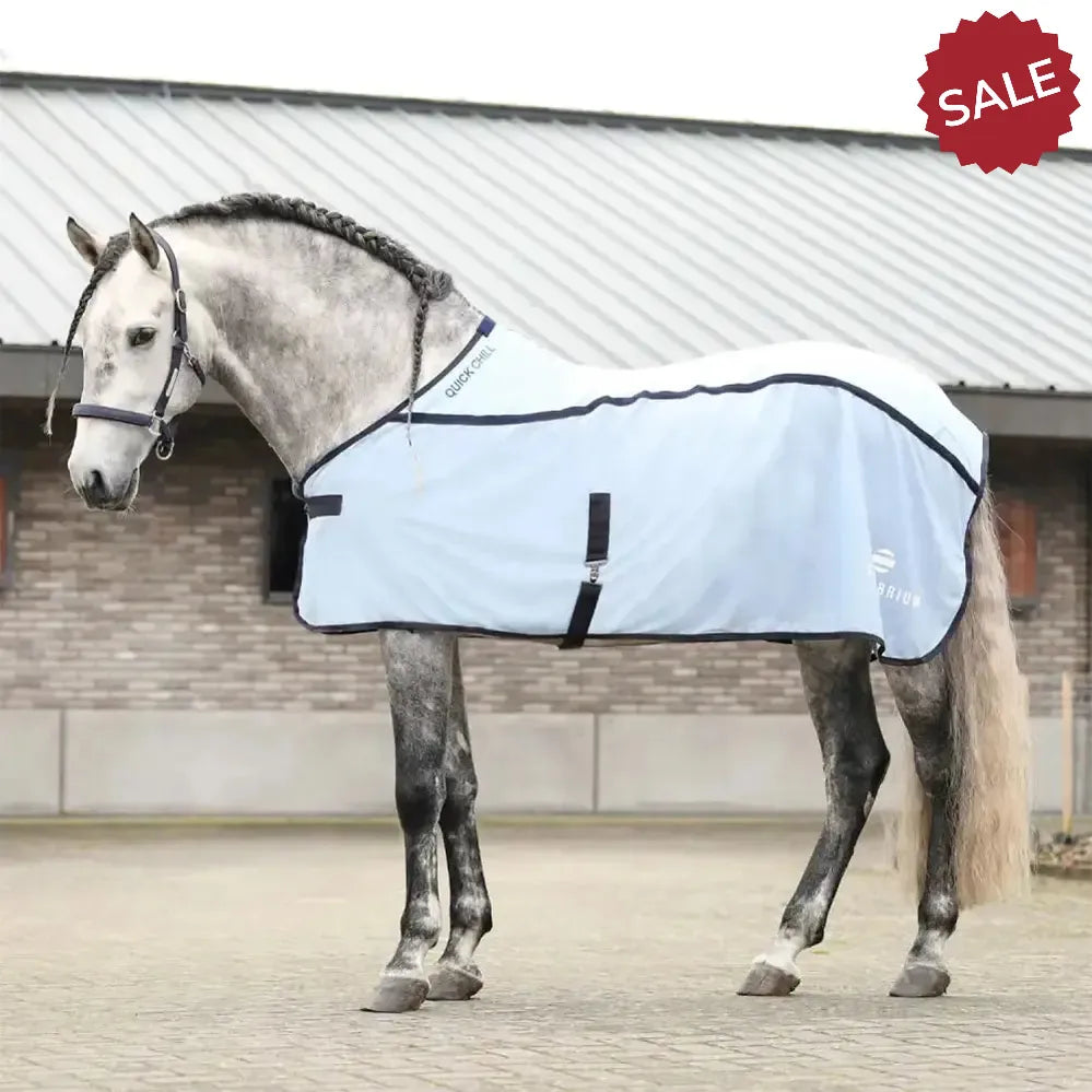 Equilibrium Quick Chill Rug Light Blue Light Blue 5'6" Summer Sheets