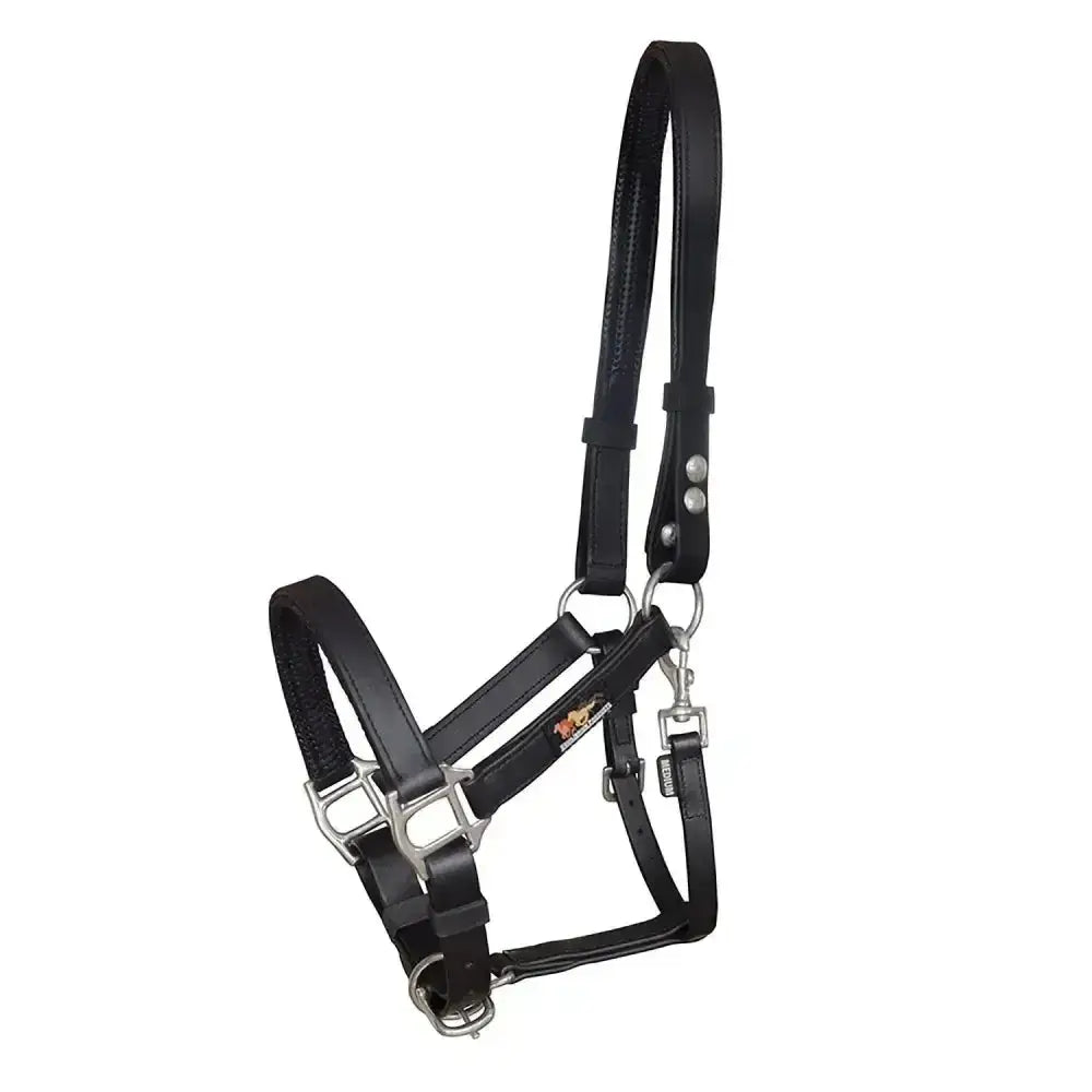 Black leather Equilibrium Stella head collar with silver hardware and logo for a field safe head collar use