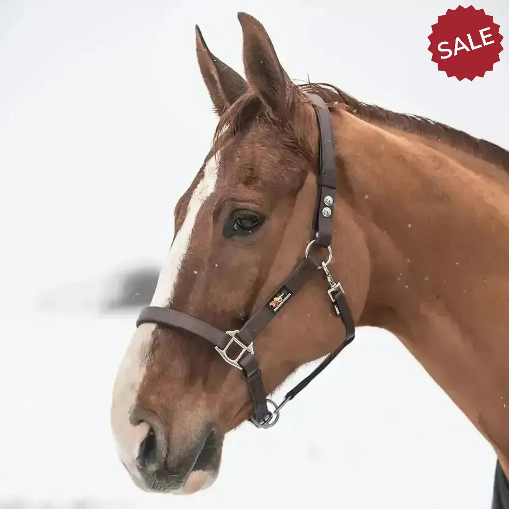 Equilibrium Stella Head Collars Safety Headcollars Black X Small Field Safe Headcollars