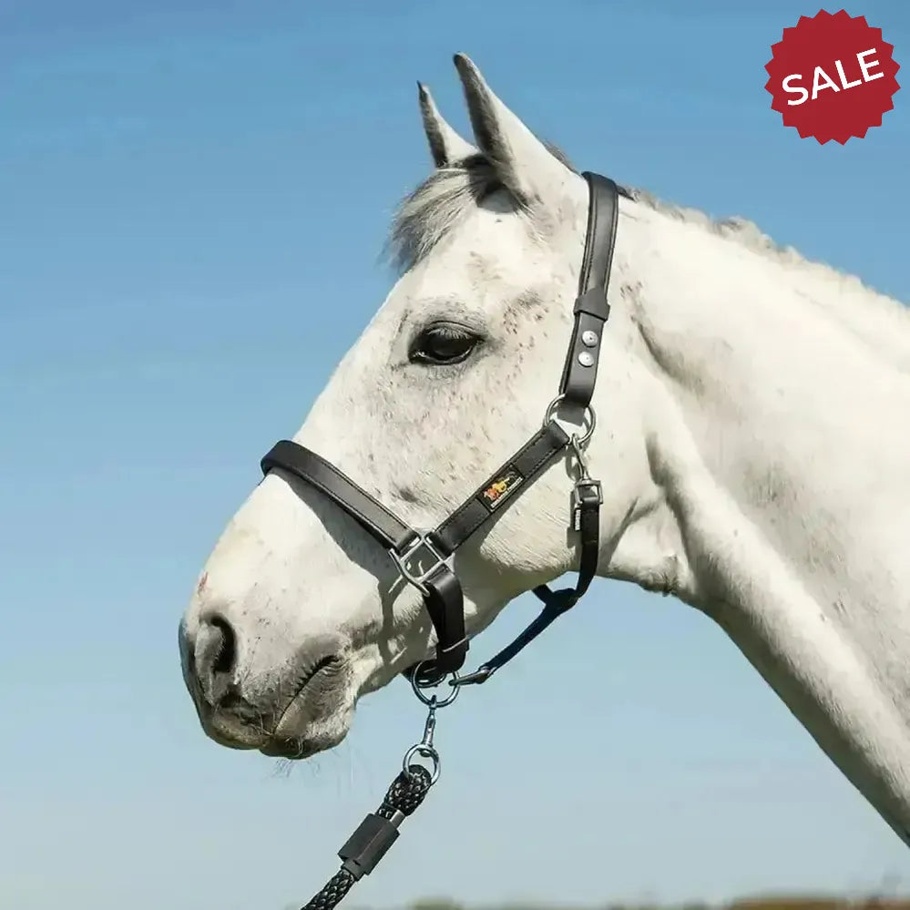 Equilibrium Stella Head Collars Safety Headcollars Black X Small Field Safe Headcollars