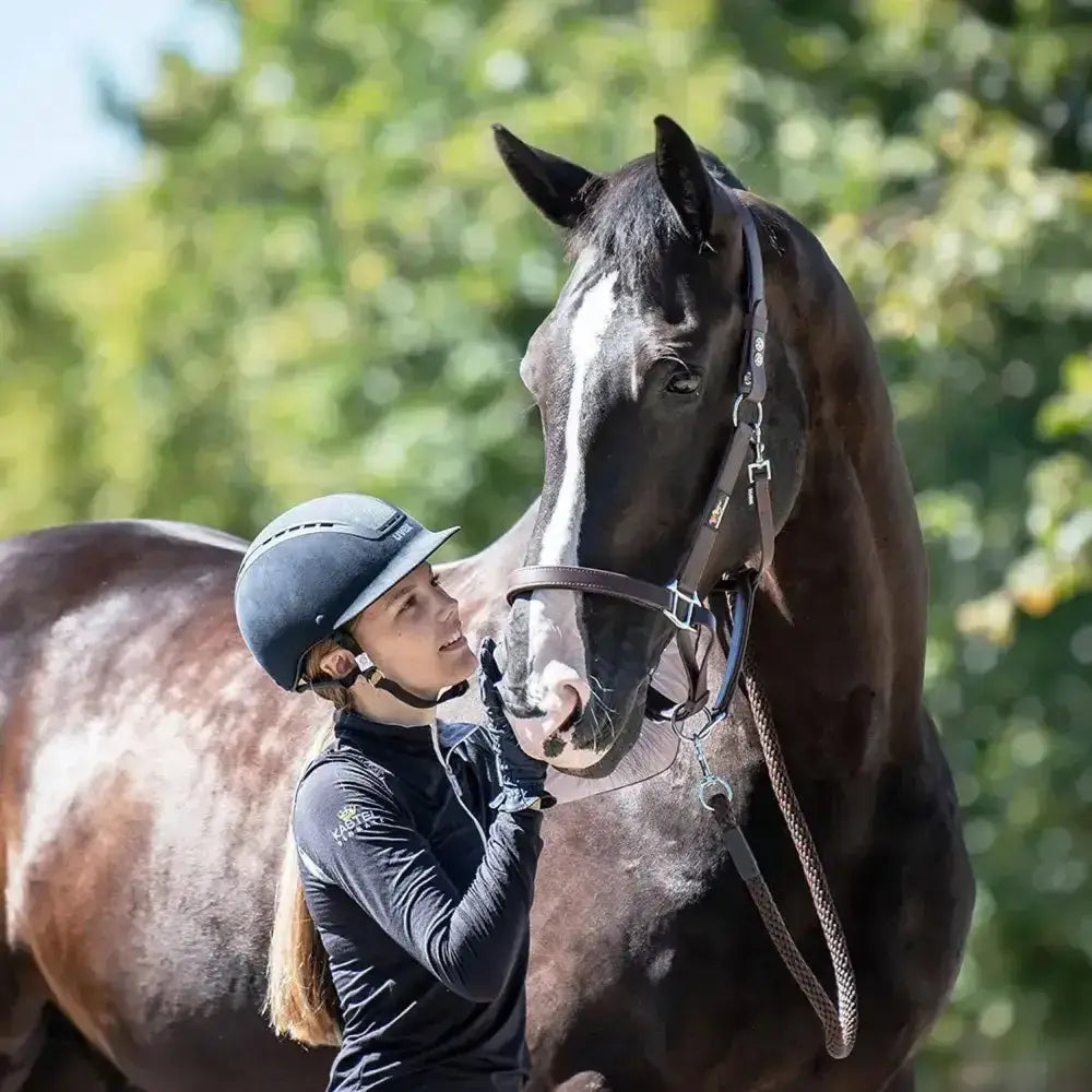 Black horse wearing an equilibrium stella head collar in black, a field safe head collar with stellar head collar design
