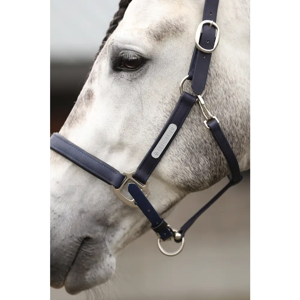Equilibrium Stellar All Weather Headcollar Black Small Field Safe Headcollars