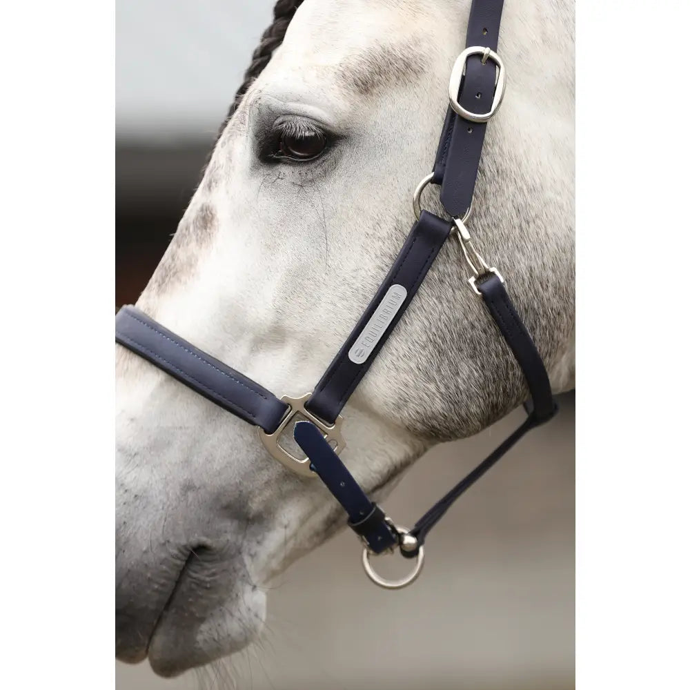 Navy blue leather equilibrium stellar weather headcollar with silver hardware and branded plaque for equestrian use