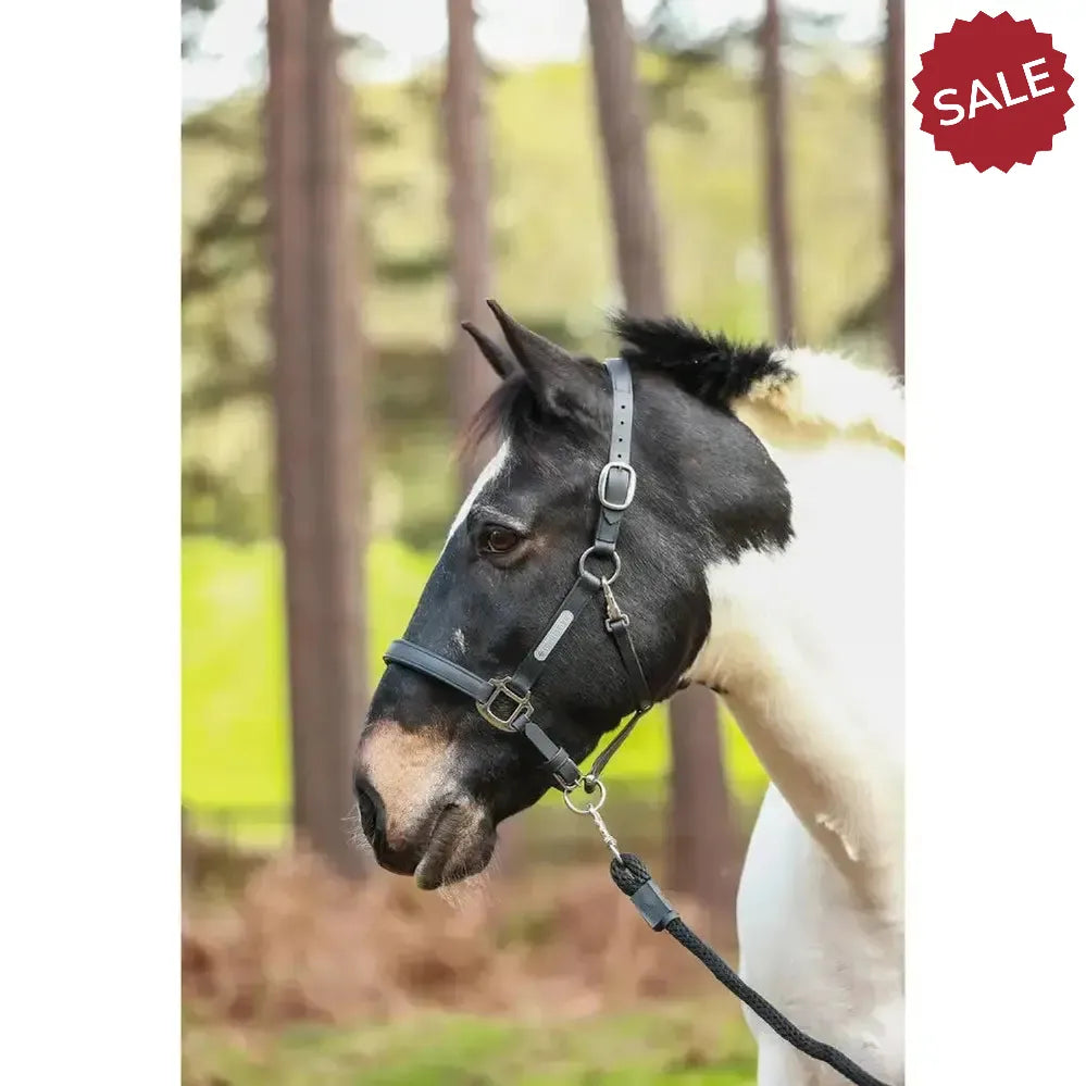 Equilibrium Stellar All Weather Headcollar SmALL BLACK Field Safe Headcollars