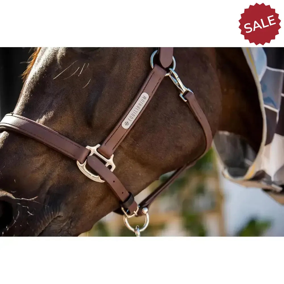 Equilibrium Stellar All Weather Headcollar SmALL BLACK Field Safe Headcollars