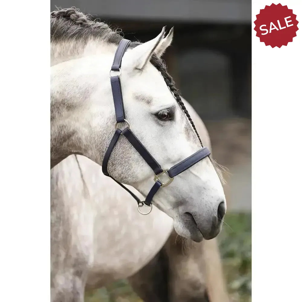 Equilibrium Stellar All Weather Headcollar SmALL BLACK Field Safe Headcollars