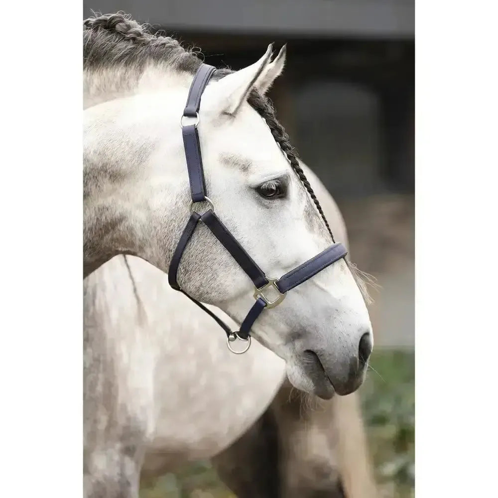 Equilibrium Stellar Headcollar Navy Large Navy Field Safe Headcollars