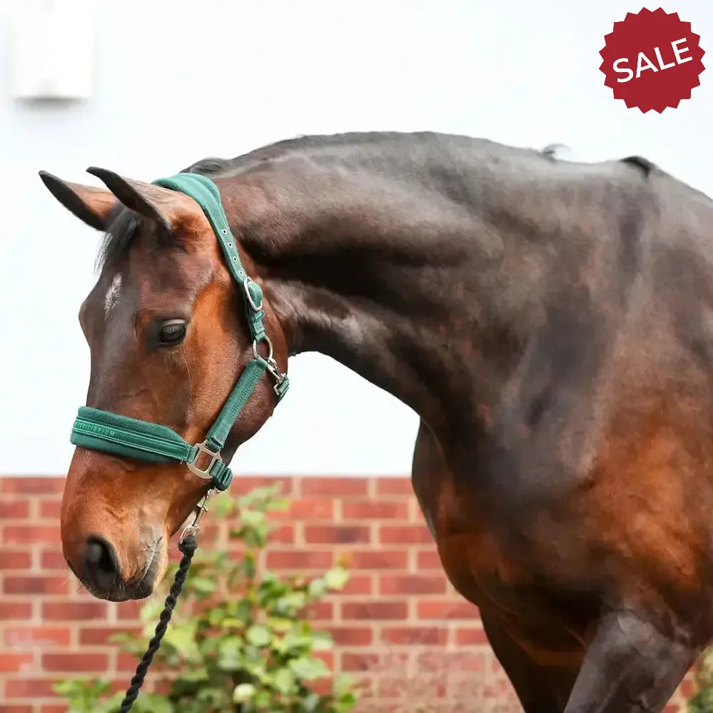 Equilibrium Stellar Style Headcollar Green X SmallmALL GREEN Field Safe Headcollars