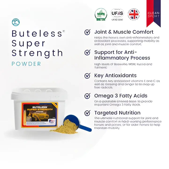 Equine america buteless super strength powder in white container with orange label and blue scoop for performance horses