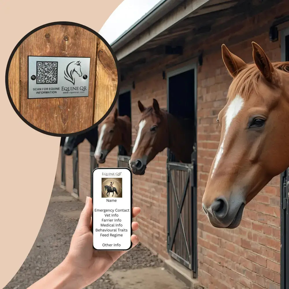 Silver rectangular equine qr mount plaque with horse silhouette mounted on wood offers instantly accessible horse’s information