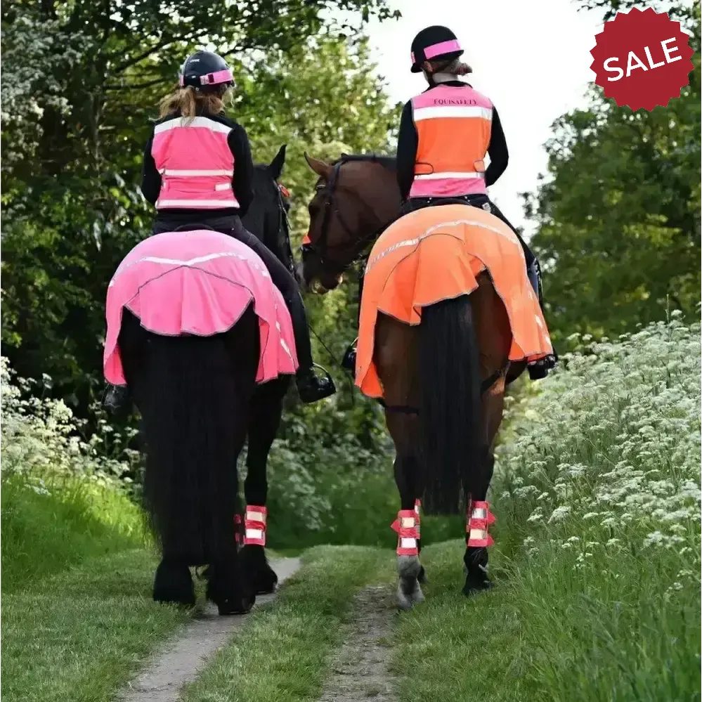 Equisafety Breathable Mesh Fly Quarter Sheets Orange X Small Pony Ride On Fly Rugs