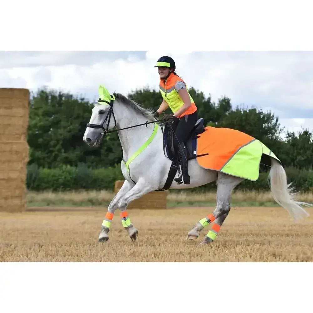 Bright orange and neon green equisafety breathable mesh quarter sheet with reflective horse safety blanket and leg wraps