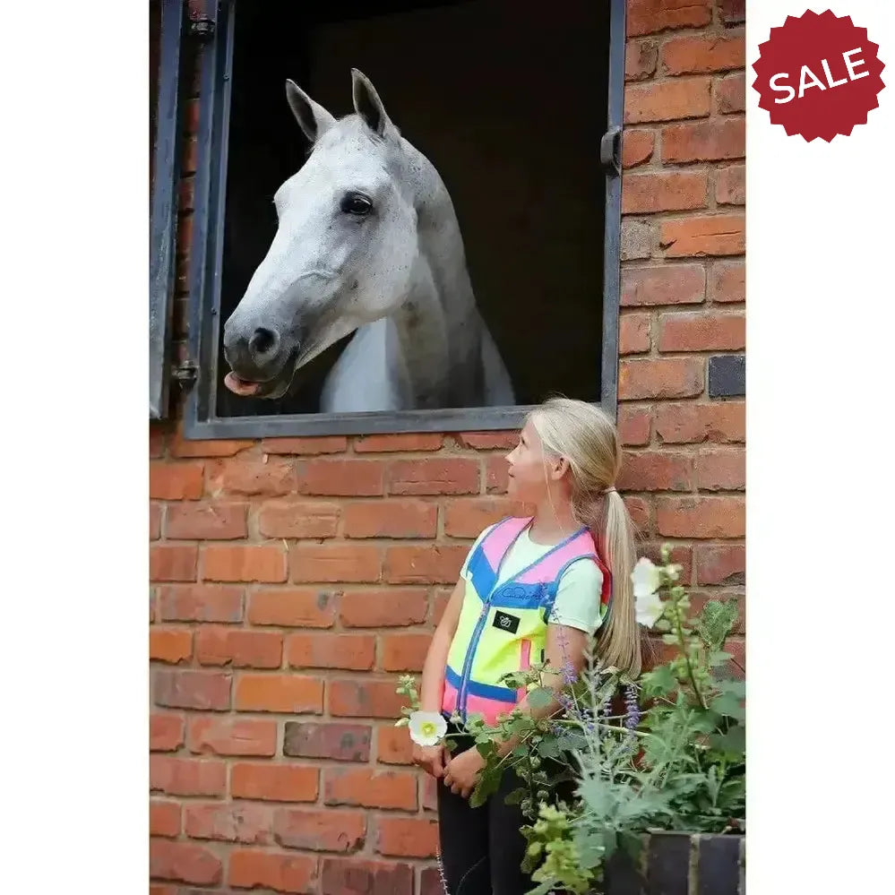 Equisafety Childrens Hi-Vis Waistcoats Multi-Coloured Pink / Orange Child - 4 - 8 Years Waistcoats