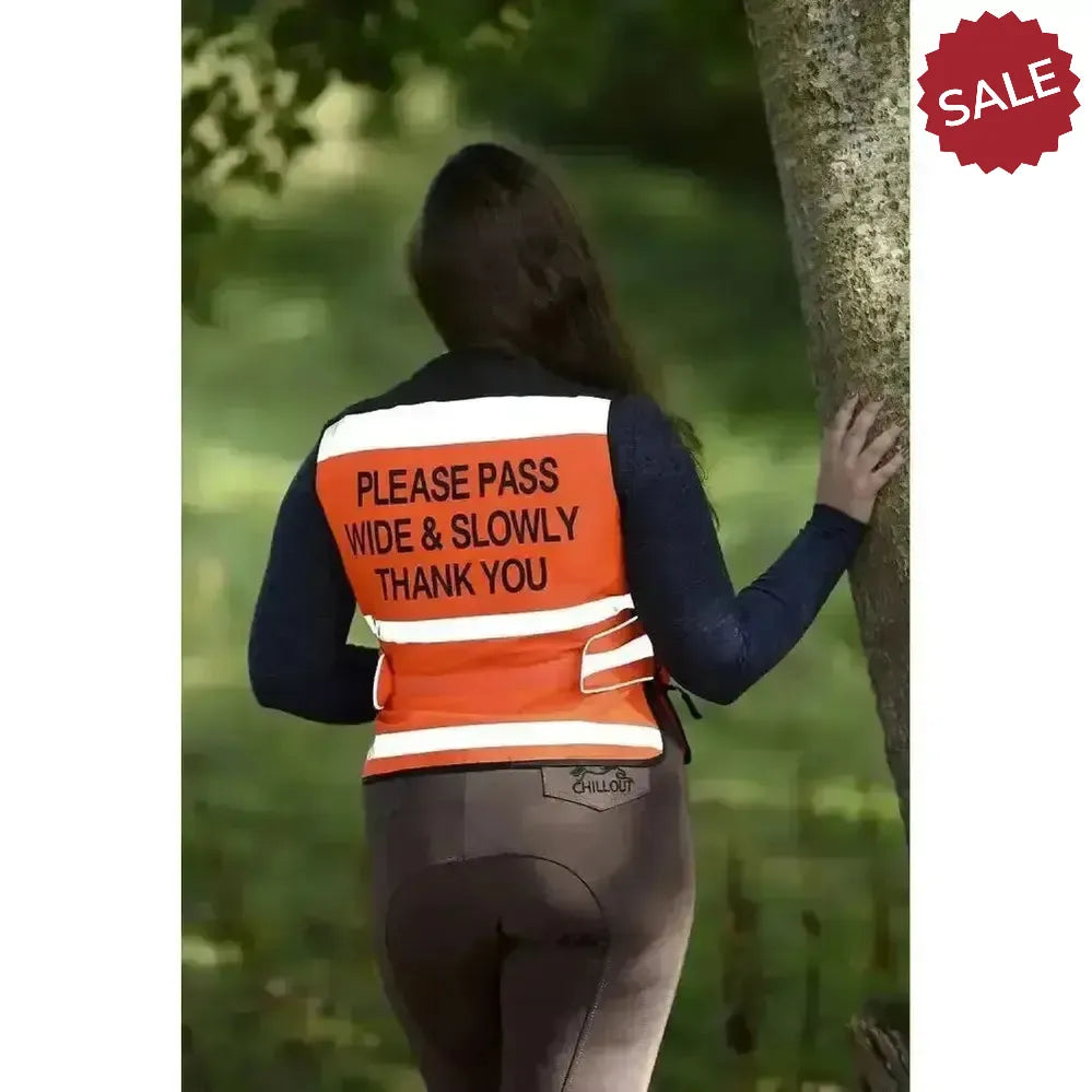 Equisafety Hi Viz Waistcoats Pass Wide & Slowly For Air Jackets Orange Small Waistcoats